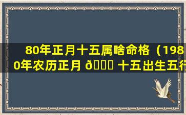 80年正月十五属啥命格（1980年农历正月 🐝 十五出生五行属什么）